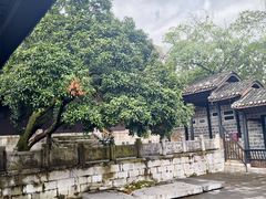 -阳明祠