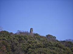 -上海佘山国家森林公园天马山园