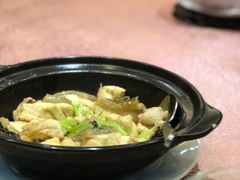 -欢乐海岸美食联盟