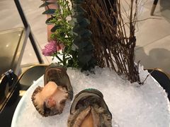 5头大连鲍-阿杜打边炉(五江天街店)