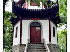 -上海佘山国家森林公园天马山园