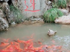-灵栖洞天