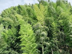 -将军关探险漂流