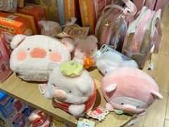 -九木杂物社(凯德大峡谷店)