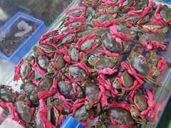 -潘先生平价海鲜城(神州半岛店)