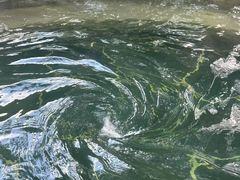 -腾冲和顺柏联酒店