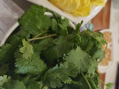 -草原传奇鲜羊火锅(桥北店)