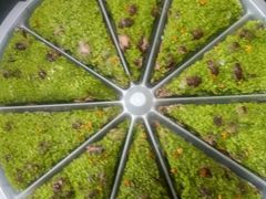 -蟹天蟹地农家菜·阳澄湖大闸蟹(浅水湾店)