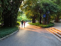 -晓港公园
