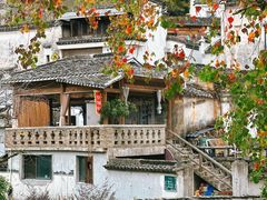 -塔川景区