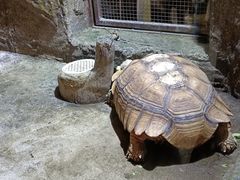 -青青世界