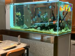 -黄鱼炙夜(华家池店)