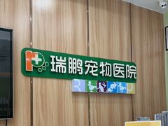 -瑞鹏宠物医院·夜间急症·心超·猫科(祖庙分店)