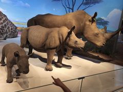 -国家自然博物馆