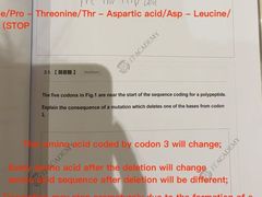 -JT PREP国际学科课程·IB·AP·Alevel(陆家嘴校区)