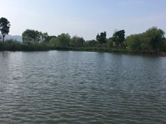 -长兴太湖图影湿地文化园