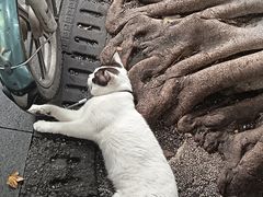 -公园前(地铁站)