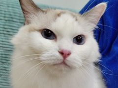 -佳雯宠物医院·皮肤科·内外科(春晓路分院)