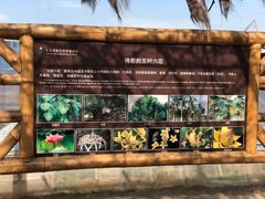 -呀路古热带植物园