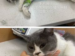 -联合动物医院(光谷诊疗中心)
