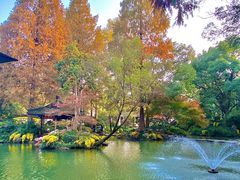 -杭州植物园