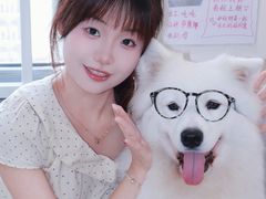 -汪说·狗咖·拼豆·宠物周边DIY(旺城大厦店)