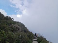 -白草畔自然风景区