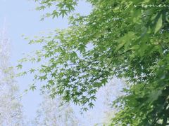 -青岛海滨风景区小鱼山