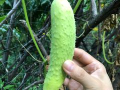 -南窖乡水峪村山情农家