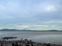 -深圳湾公园(南山区)