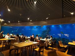大堂-海棠湾洲际-涛·海底餐厅·美人鱼·自助餐·海底隧道
