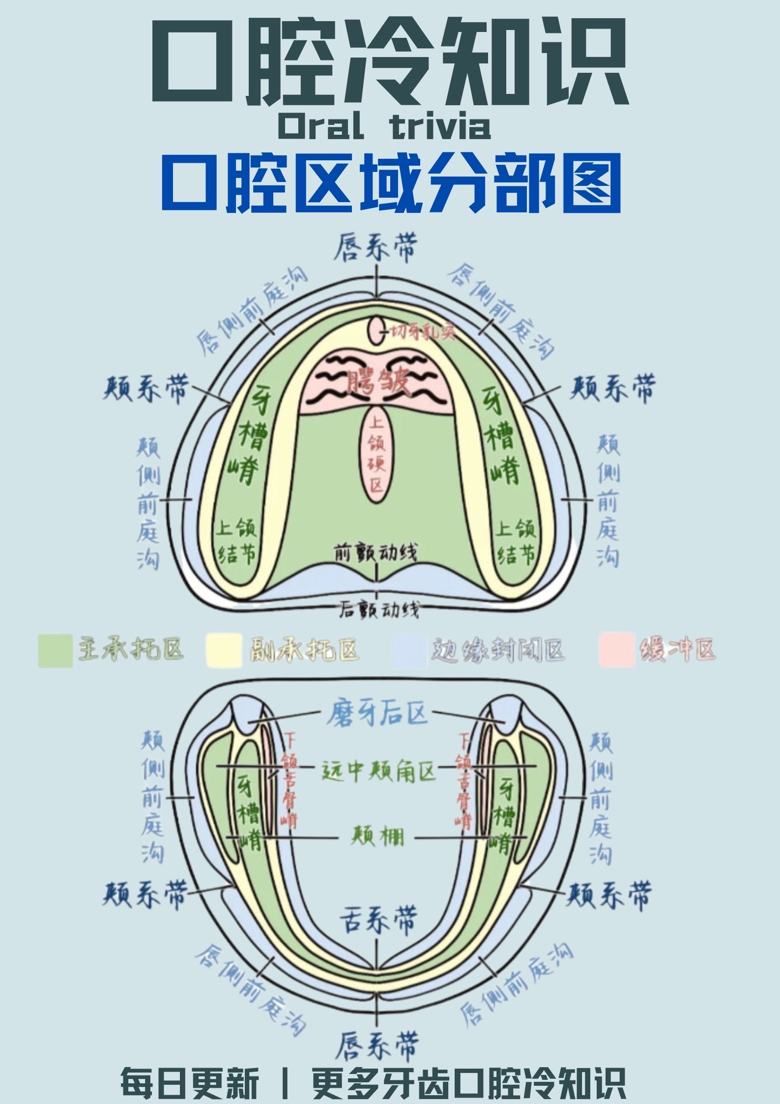 前庭沟溃疡图片