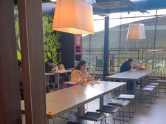 -麦当劳(深圳北站高铁店)