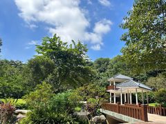 -火炉山森林公园