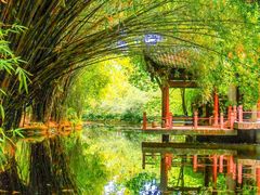 -棠湖公园