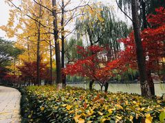 -运河游船(武林门码头)