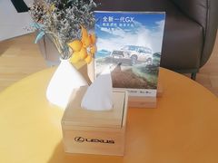 -哈尔滨龙晟雷克萨斯