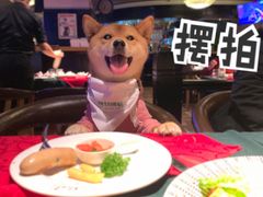 -碧特博格啤酒花园餐厅(芜湖路店)