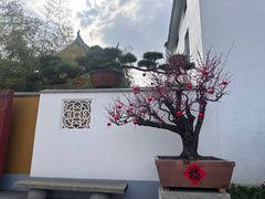 -龙华素斋(龙华路店)