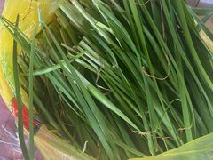 -马陆小张葡萄园农家乐