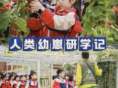 -金豆子幼稚园