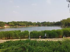 -北坞公园