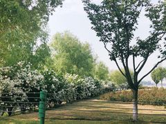-漕湖湿地公园