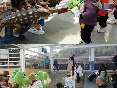 -中国西峡恐龙遗迹园