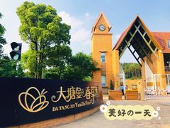 -大塘金香草谷