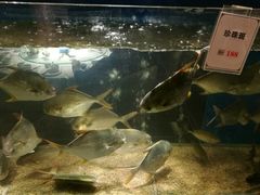 -百味馆·粤菜·湛江菜(后海花园店)