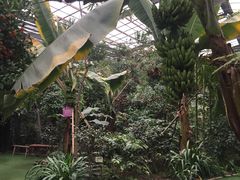 -呀路古热带植物园