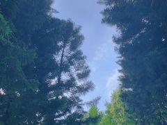 -重庆海昌加勒比海水世界