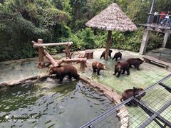 -深圳野生动物园