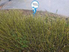 -长春公园(普阳街道)